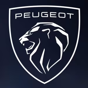Peugeot 308 1.6 BlueHDI EDC17C60 011368 6B2G PNQ9B 4A5OB 9692370180 [Oryginał/Stage1 AdBlue]