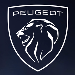 Peugeot Partner 1.6 BlueHDI Bosch EDC17C60 006595 6D2G 2IB9B 4A6O8 9692189080 [Oryginał]